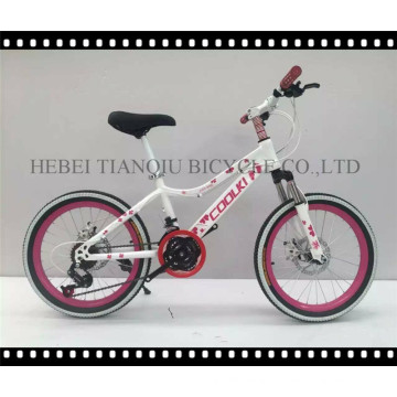 Steel/Alloy Ce Approved 24"-28" Mountain Bike, MTB